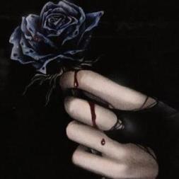 217810_269064573205500_93901309_n